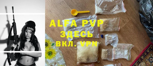прущие грибы Вяземский