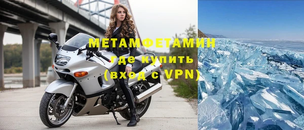 прущие грибы Вяземский