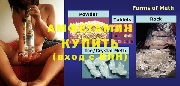 прущие грибы Вяземский