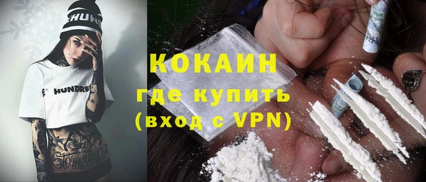 прущие грибы Вяземский