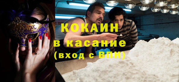 прущие грибы Вяземский