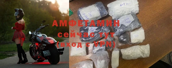 прущие грибы Вяземский