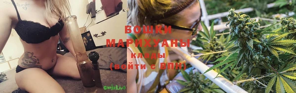 прущие грибы Вяземский