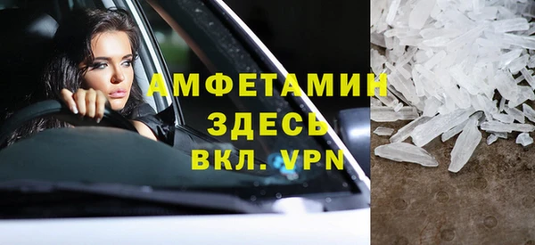 прущие грибы Вяземский