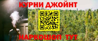 индика Будённовск