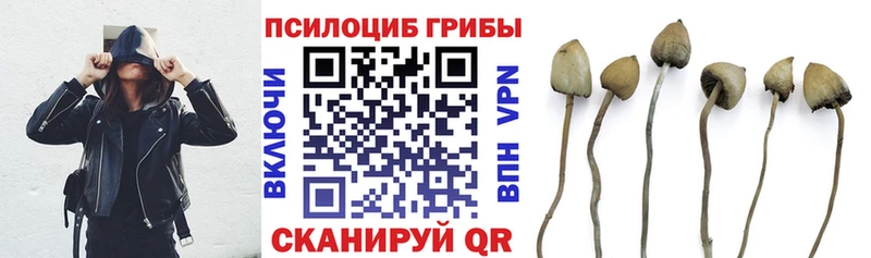 купить наркотики сайты  Иваново  MEGA сайт  Псилоцибиновые грибы Psilocybine cubensis 