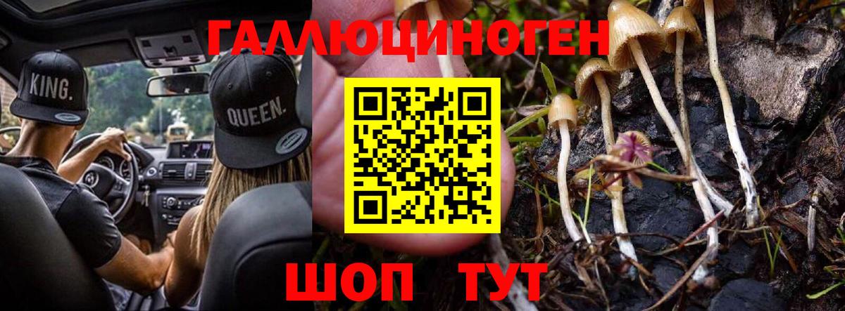 Псилоцибиновые грибы MAGIC MUSHROOMS Иваново