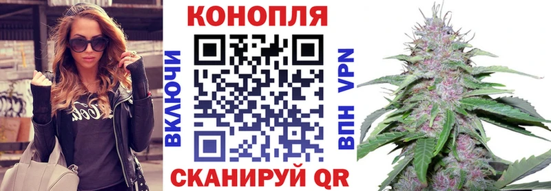 darknet официальный сайт Иваново omg Бошки марихуана ГИДРОПОН продажа наркотиков